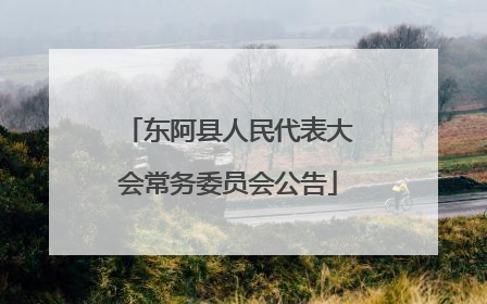 东阿县人民代表大会常务委员会公告